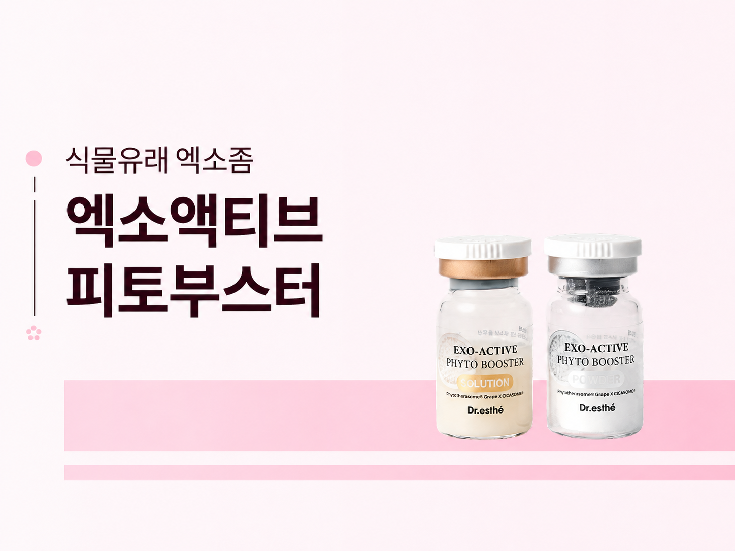 엑소액티브 피토부스터