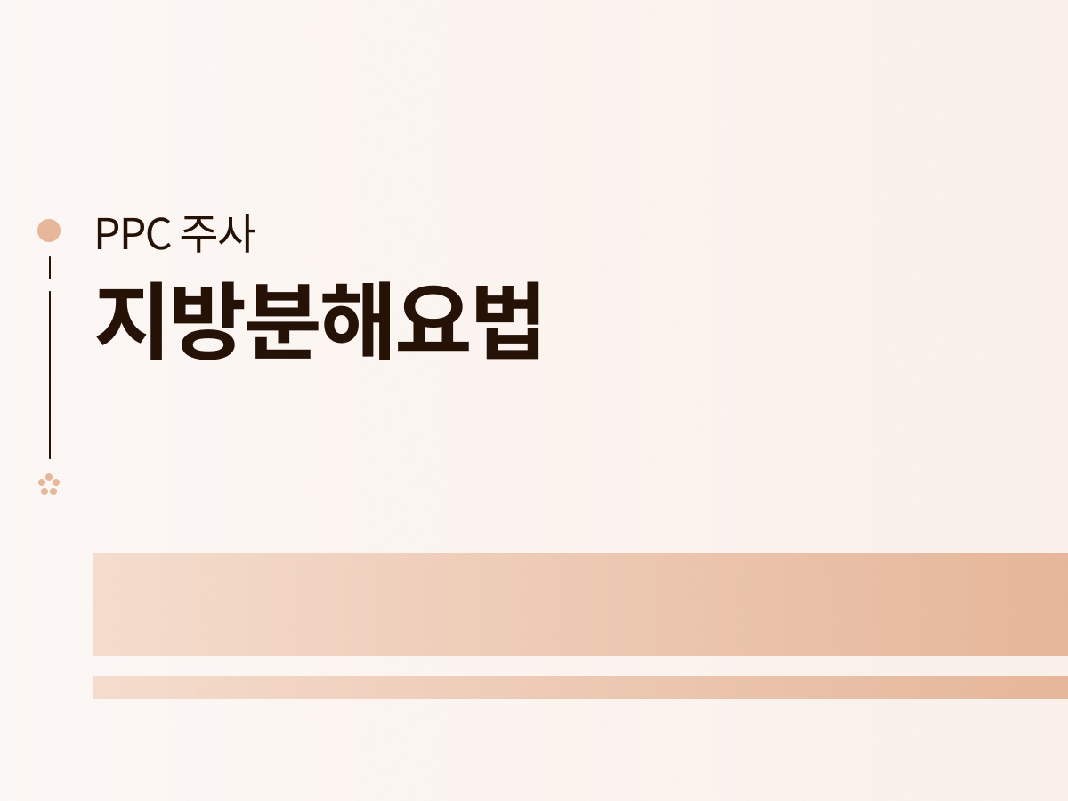 지방분해요법