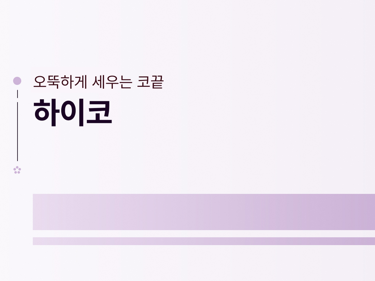 하이코