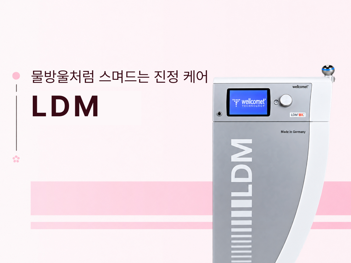 LDM
